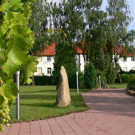 Christliche Gaestehaeuser Weinstrasse Neustadt an der Weinstrasse Ngoại thất bức ảnh